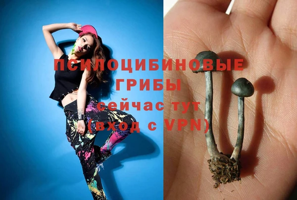 твердый Абдулино