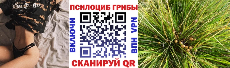 Галлюциногенные грибы мицелий  Полтавская 